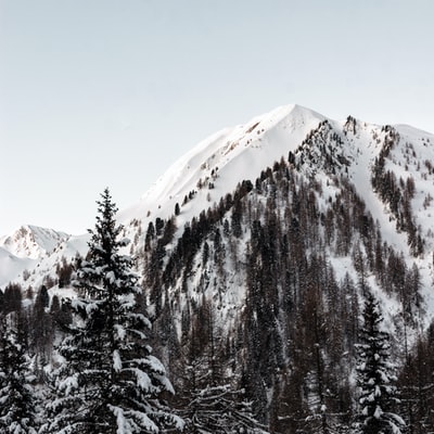 山上覆盖着雪和树木